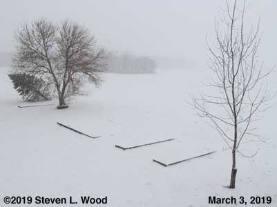 Our Snowy Senior Garden - March 3, 2019