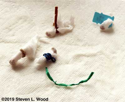 Cheesecloth holding treated seed