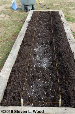 Furrow liberally seeded