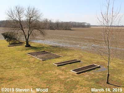 Our Senior Garden - March 14, 2019