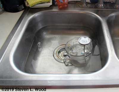 Tomato seed being hot water treated