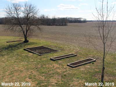 Our Sneior Garden - March 22, 2019