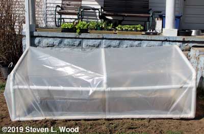 Plants on porch and cold frame