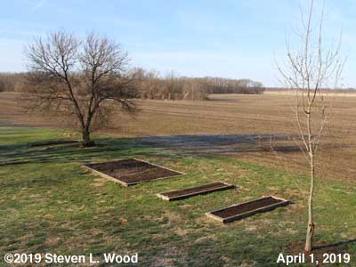 Our Senior Garden - April 1, 2019