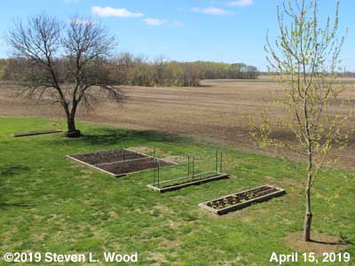Our Senior Garden - April 15, 2019