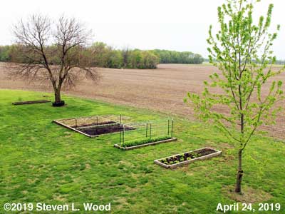 Our Senior Garden - April 24, 2019