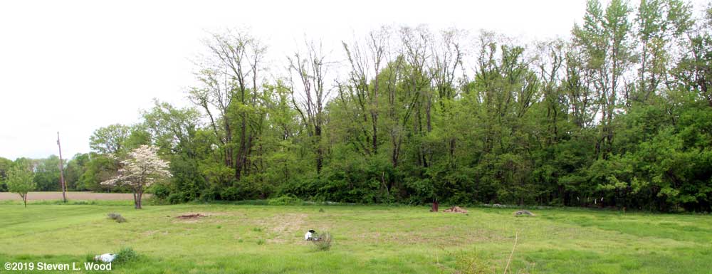 Our East Garden plot - May 1, 2019