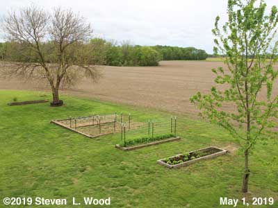 Our Senior Garden - May 1, 2019
