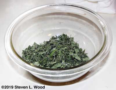 Dried and crushed oregano