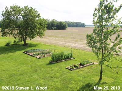 Our Senior Garden - May 29, 2019