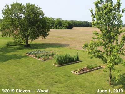 Our Senior Garden - May 1, 2019