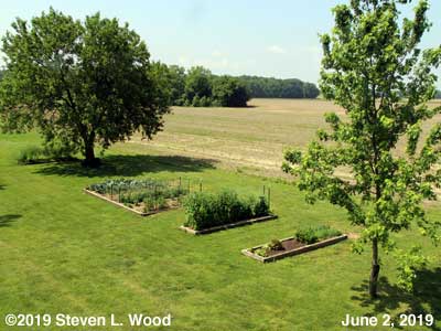 Our Senior Garden - June 5, 2019