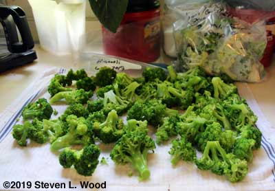 Blanched broccoli drying
