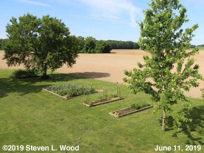 Our Senior Garden - June 11, 2019