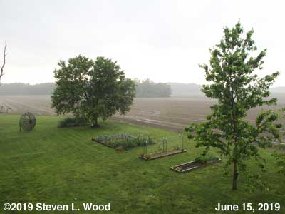 Our Senior Garden - June 15, 2019