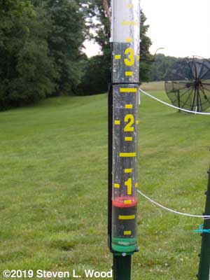Rain gauge