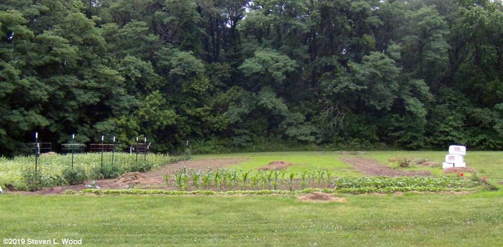 Current East Garden