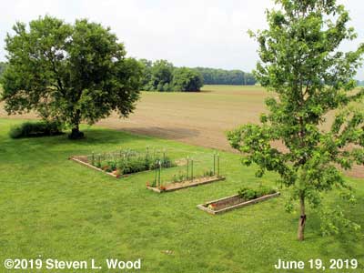 Our Senior Garden - June 19, 2019