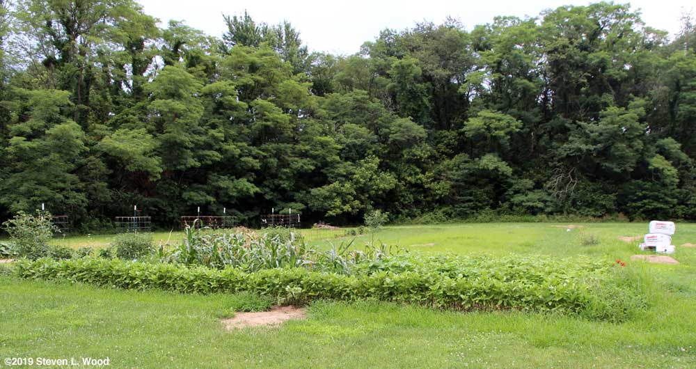 Mostly unplanted East Garden plot