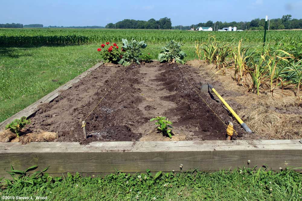 Working feretilizer, lime, and inoculant into the soil