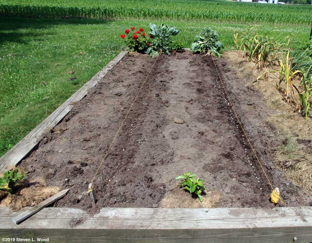 Rows seeded