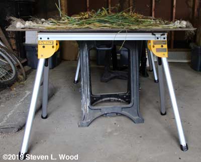 DeWalt Sawhorse