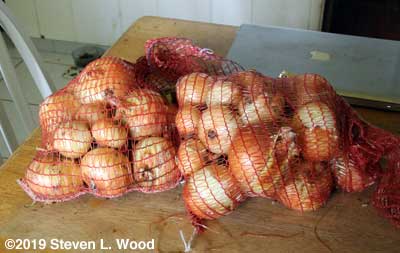 Nine pounds of bagged Walla Walla onions