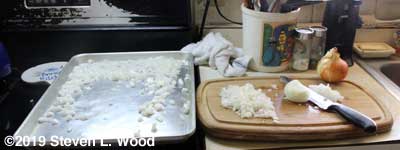 Chopping onions for freezing