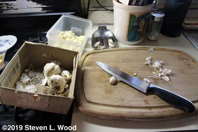 Peeling garlic cloves