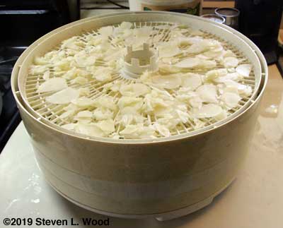 Garlic spread over dehydrator trays