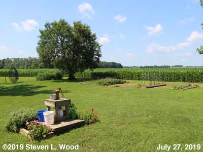 Our Senior Garden - July 27, 2019