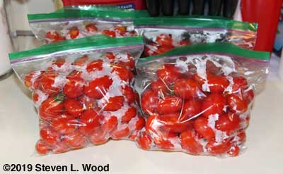 Grape tomatoes washed and bagged for distribution