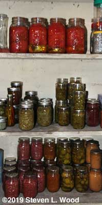 Part of downstairs pantry