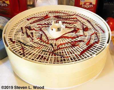 Dried paprika peppers on dehydrator tray