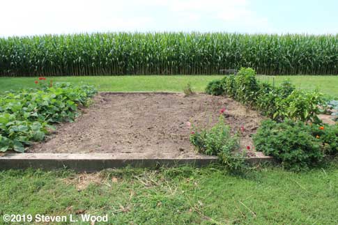 Weeds pulled, trash raked out