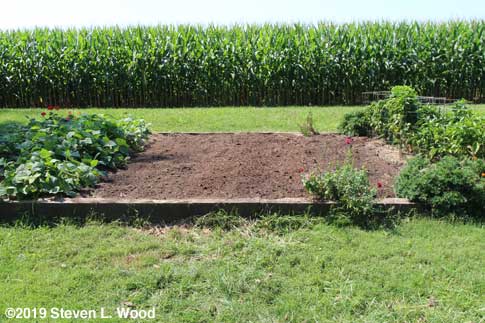 Soil amendments tilled in, surface raked smooth