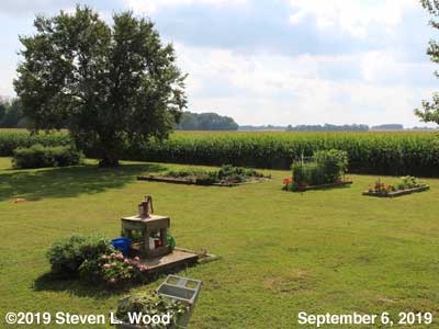 Our Senior Garden - September 6, 2019