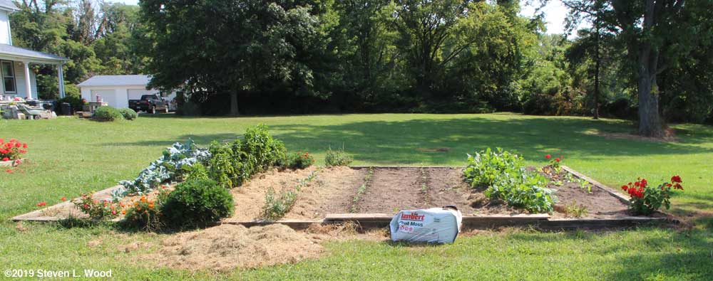 Main raised garden bed on September 11, 2019