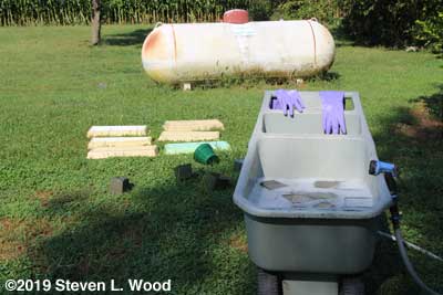 Washing trays and pots