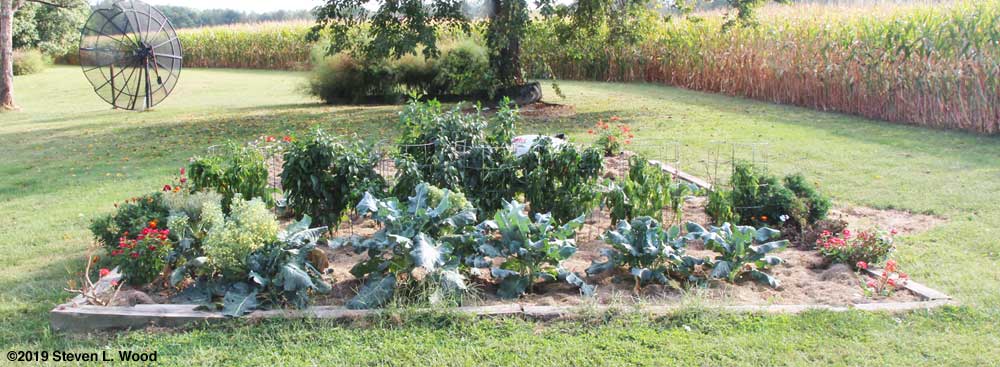 Main raised bed from north to south