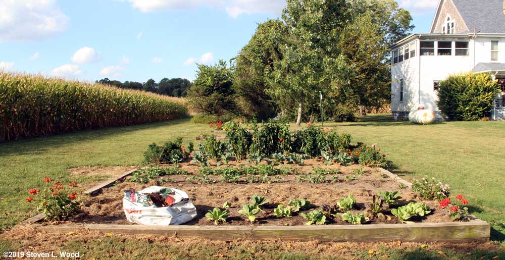 Main raised bed from south to north