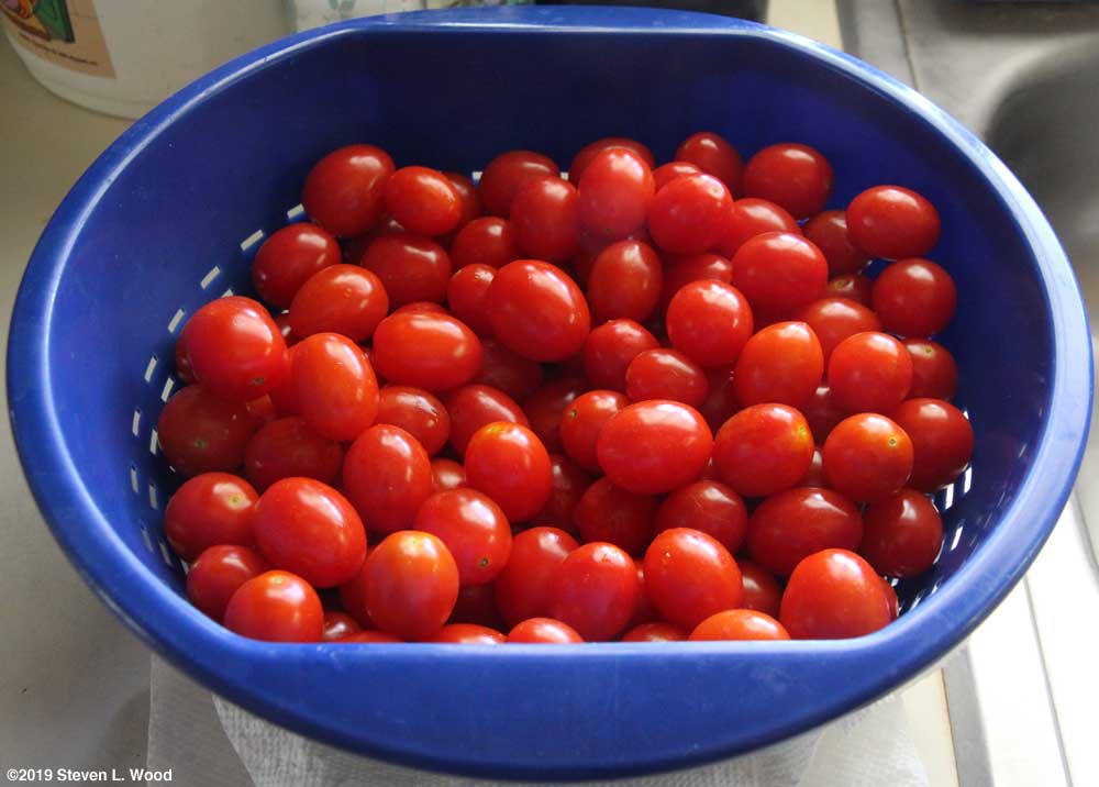 Grape tomatoes
