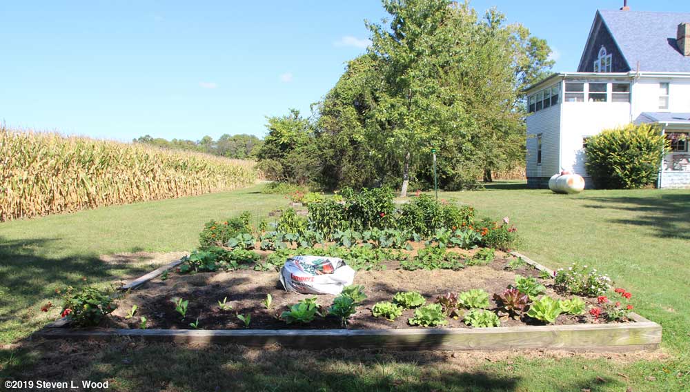 Main raised bed from south to north