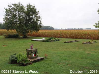 Our Senior Garden - October 11, 2019