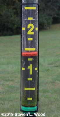 More rain than we've had in a long time
