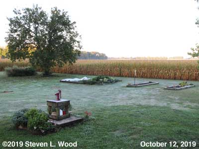 Our Senior Garden - October 12, 2019