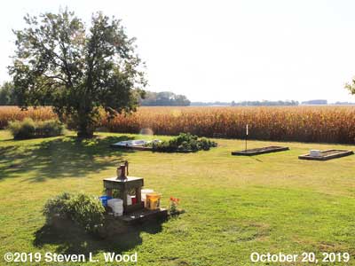 Our Senior Garden - October 20, 2019