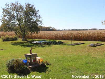 Our Senior Garden - November 1, 2019