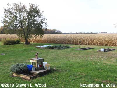 Our Senior Garden - November 4, 2019
