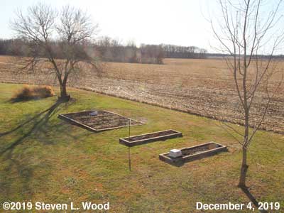 Our Senior Garden - December 4, 2019
